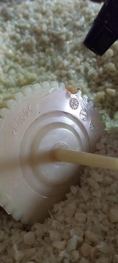 廃プラスチック 66ナイロン粉砕品 GF無し ナチュラル品